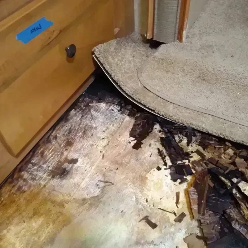 Wood Floor Water Damage in Thousand Palms, CA